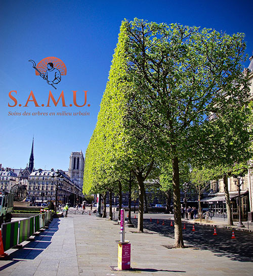 Chateau de versailles